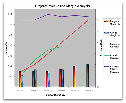 Project Revenue and Margin Analysis